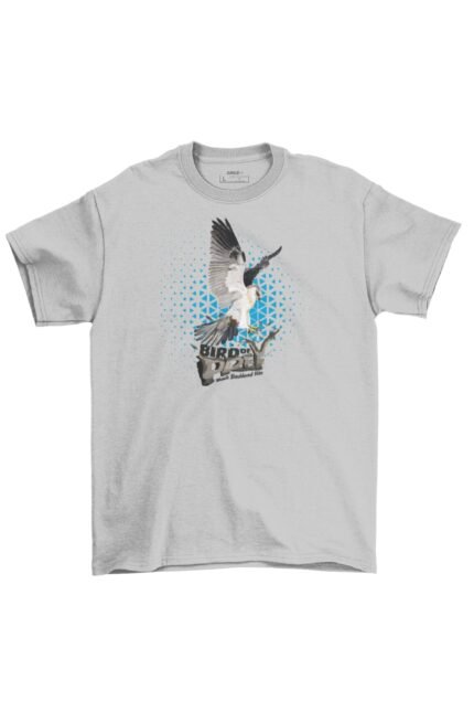 Black Shouldered Kite